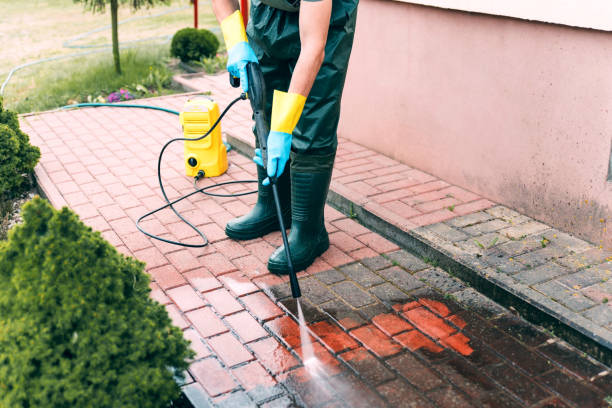 Professional Pressure Washing in Cross Roads, TX