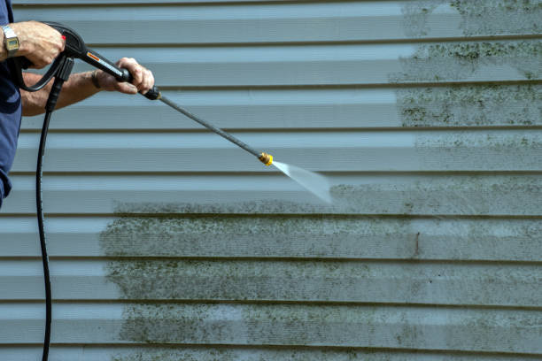 Best Pressure Washing Patio  in Cross Roads, TX