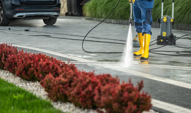 Best Affordable Pressure Washing  in Cross Roads, TX