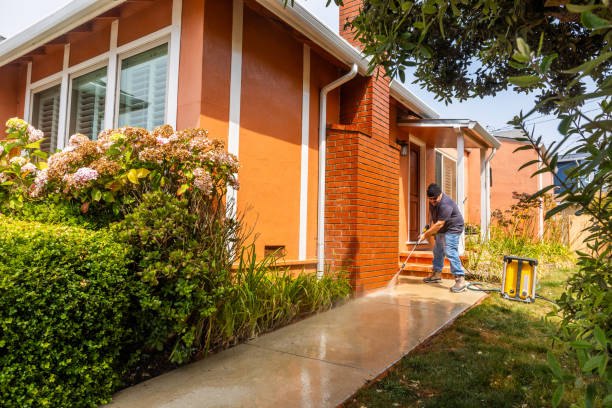 Best Affordable Power Washing  in Cross Roads, TX